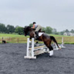 Meet your Posher, Claudia